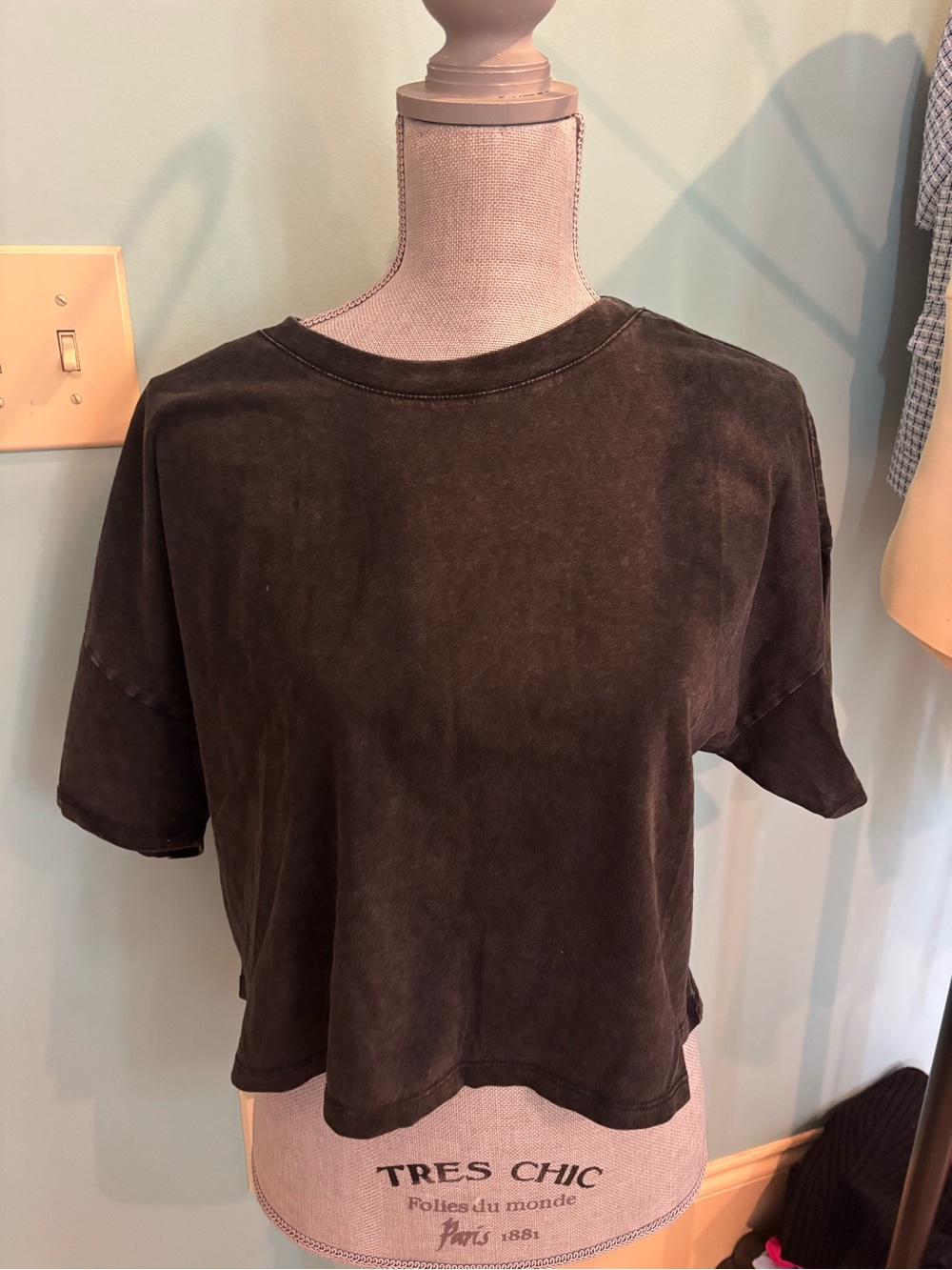Z Supply Washed Brown Cropped Tee